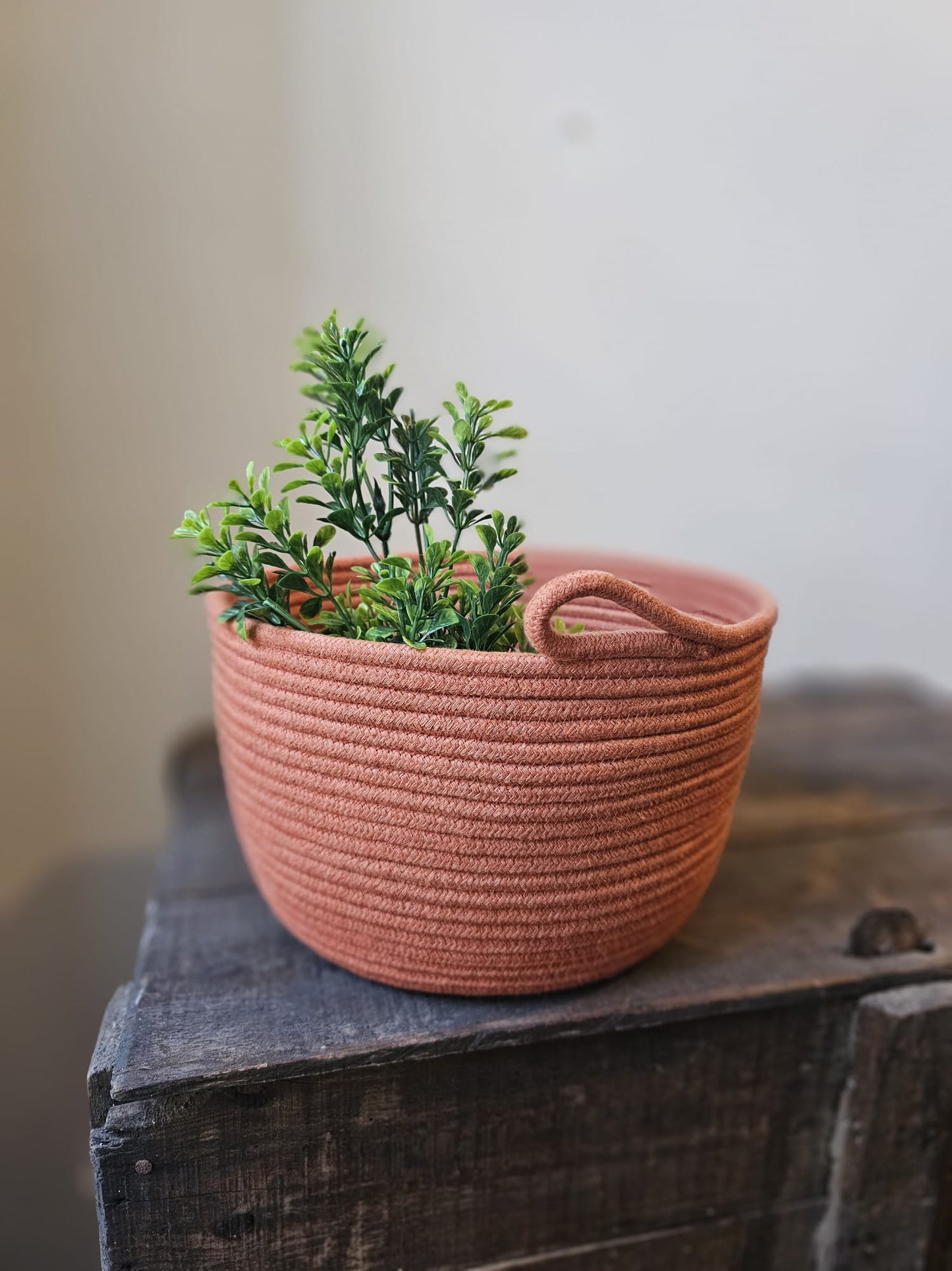 Customized Basket